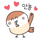 장가네양꼬치