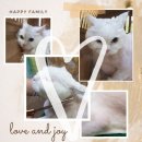 짱구와 동팔이 이미지