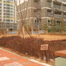 향남2호 근린공원 이미지