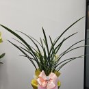 짱짱부동산중개 이미지