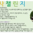 서라벌예술어린이집 이미지