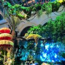 호텔 윈 이미지