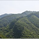 국사봉 농장 이미지