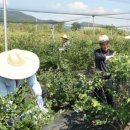 민선농장 이미지