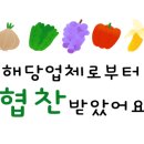 고독한 육식가