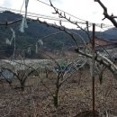 수훈농장 이미지