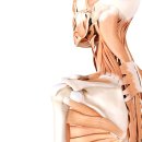 왜관일층정형외과의원 이미지