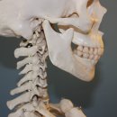 비선채한의원 이미지