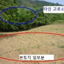 태양약초
