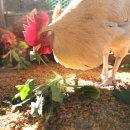 재인농장 이미지