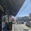 새들약국 이미지