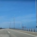 인천대공원 야영장 | 《신,시,모도 당일치기》 가족 나들이! 자동차보단 스쿠터 추천(인스타에 속았다..)