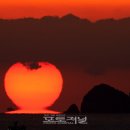 애기섬 티스토리