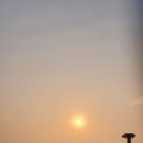 블루몽즈 이미지