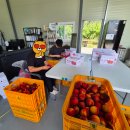 승주농장 이미지