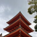 교토 여행 가볼만한 곳 (기요미즈데라,산넨자카,닌넨자카)