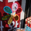 오늘의 경주 이미지