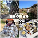 가을탐방(성인) | 제주도 동쪽 오름 추천 제주 거문오름 시간 탐방 예약 억새 갈대 차이 어멍횟집 코스
