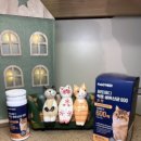 SP헬스케어 | [고양이 장 건강 관리, 브리지테일 페토메디 락토 생유산균 600 포 캣 후기]