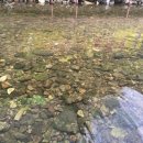 이집이 좋겠네 이미지