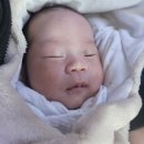 대복의원 이미지