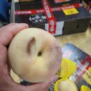 <b>한진</b><b>택배</b>는 이용하지마세요