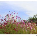왕산사 - 포천군 | 왕산사