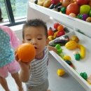 쁘띠몽드 이미지