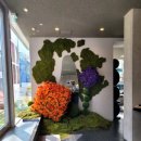 파파펫살롱 이미지