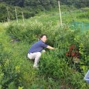 재경농장 이미지