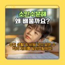 형설 | 세류동 형설학원! 소인수분해, 개념부터 실생활 활용까지 싹 다 알려줌!
