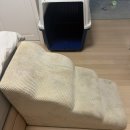 도도 켄넬 이미지