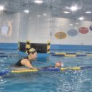 아이엠 키즈 스윔스쿨 이미지