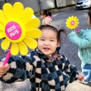 바람개비가 빙글빙글/음악/친구가 맛있는 쥬스를 주었어요/가족물건 그림자 맞춰요/영어 이미지