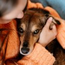 다정동물병원 이미지