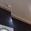 서울강남플란트치과의원천안점 이미지