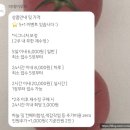 [결혼준비 ep.7]웨딩사진 보정업체 “더데이무드”내돈내산 후기