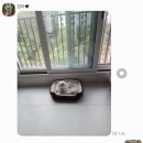 배재스넥바