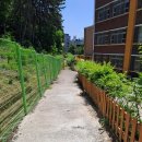 봉암초등학교 이미지