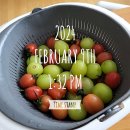 세봉한의원 | 2월 8-16 일상 (2) - 월요일이 좋다니...