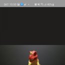 케라토사우루스 이미지