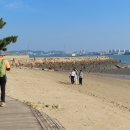 힐링 - 보성군 남부관광로 2326-1 | 힐링