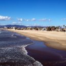 위스키어고우고우 이미지