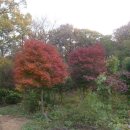 벽산(아) 이미지