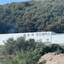 이승석목갤러리 | 원목 평상형 침대프레임 이승석우드워커스 쇼룸 방문 및 계약 후기