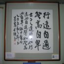 해바라기 애견 이미지