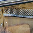 영진빌딩 이미지