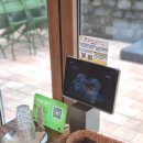 파티 | 원주 키즈카페 수제버거 맛집 펍 올데이파티 후기