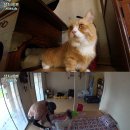 심경목장 이미지