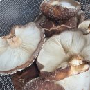 영자농장 이미지